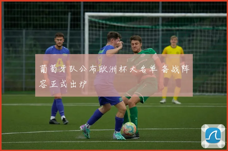 葡萄牙队公布欧洲杯大名单 备战阵容正式出炉