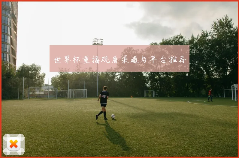 世界杯重播观看渠道与平台推荐