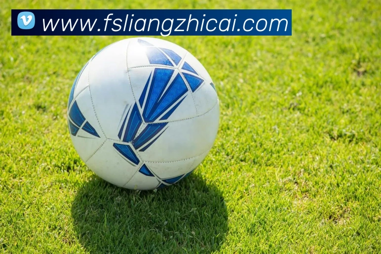 必一运动官网登录发展历程